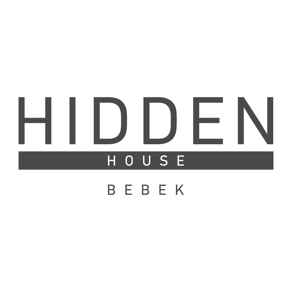 HIDDEN HOUSE