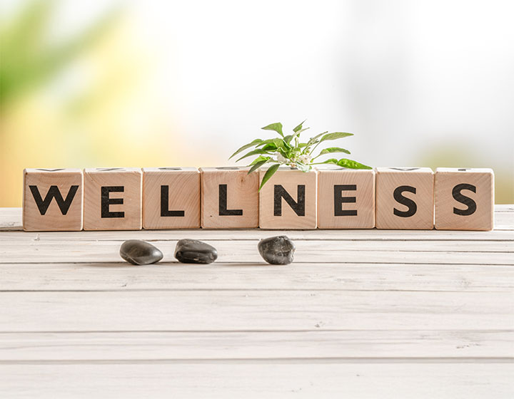 Wellness Nedir? Ne İşe Yarar? 