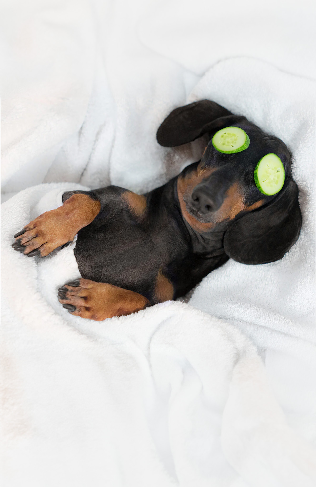 Alışverişlerinde [object Object]