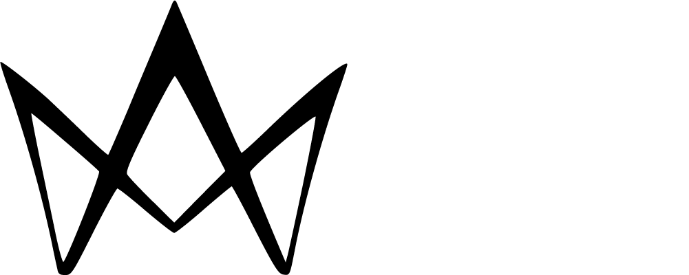 FİLİZ AKSESUAR logosu