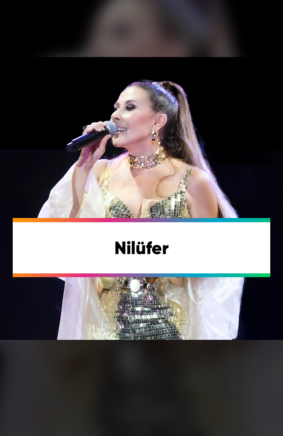 Nilüfer konserine [object Object]